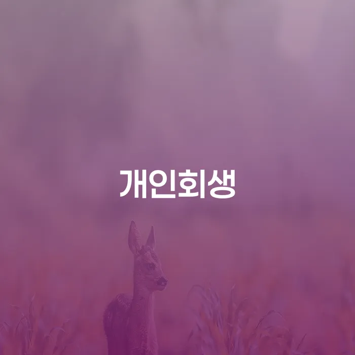 장기연체 채무조정제도을 이용하여 간편비교