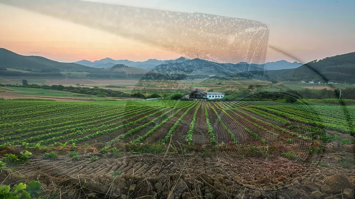 개인회생법률사무소