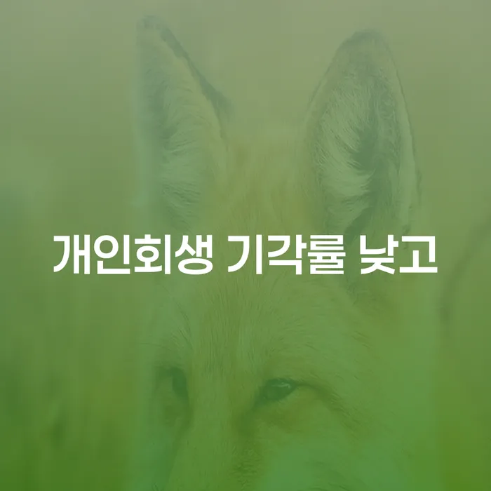개인회생파산 개인회생 처리방법 신청조차