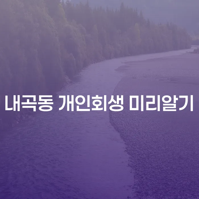 내곡동 개인회생 미리알기