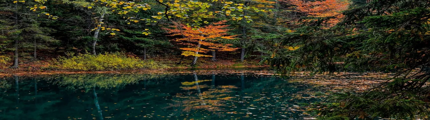 법무법인 서앤율