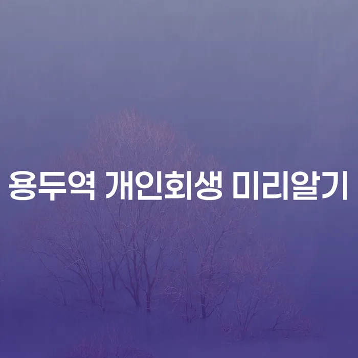 용두역 개인회생 미리알기