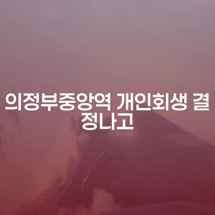 의정부중앙역 개인회생 결정나고