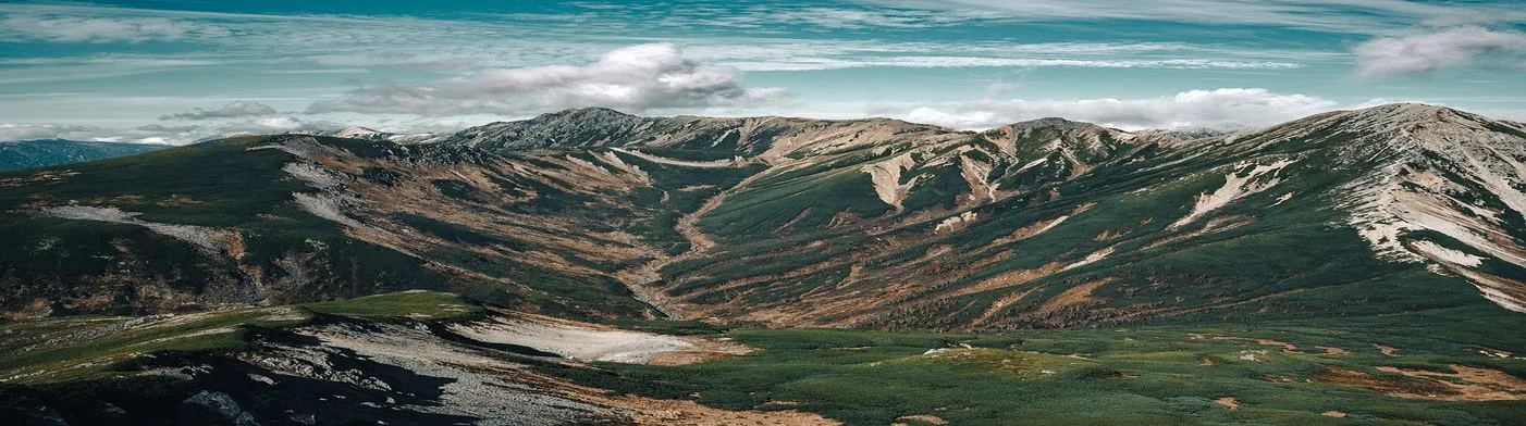 법무법인 서앤율