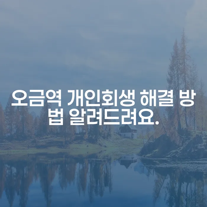 오금역 개인회생 해결 방법 알려드려요.