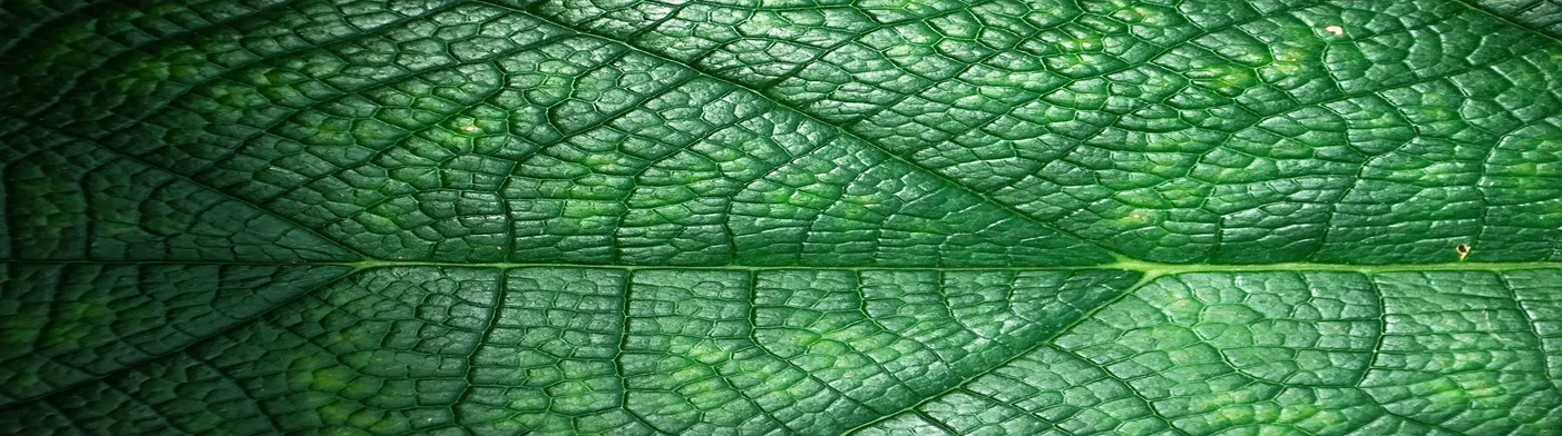 법무법인 서앤율