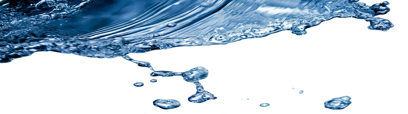 법무법인 서앤율