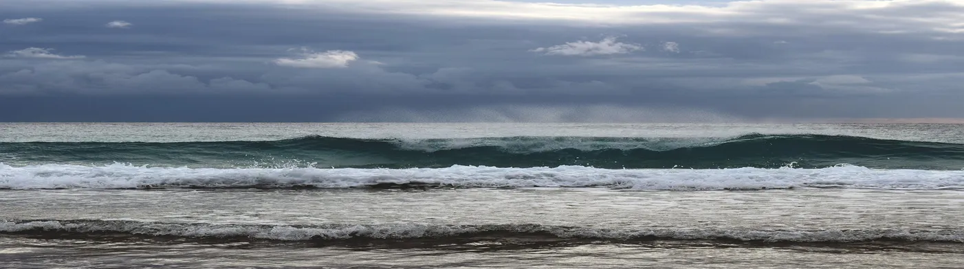 법무법인 서앤율