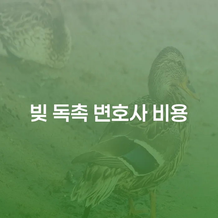 빚 독촉으로 고통받고 계신가요? 변호사 비용과 해결 방법 안내