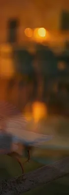 법무법인 서앤율 회생파산상담센터