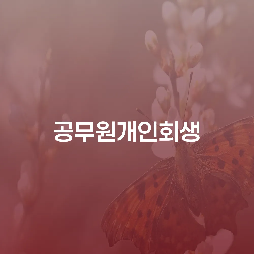 공무원 개인회생을 통한 재정 회복 방법