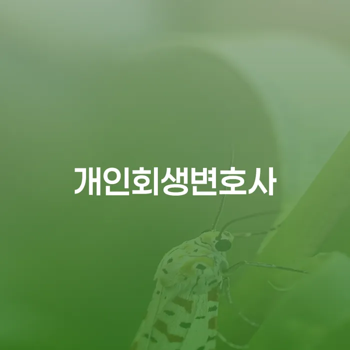 역삼1동 개인회생변호사 필요성과 절차