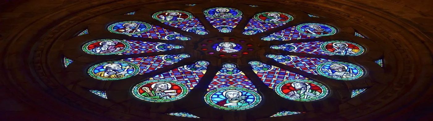 법무법인 서앤율