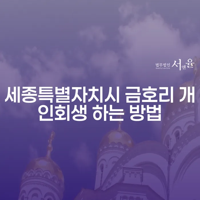 세종특별자치시 금호리 개인회생 하는 방법은 어떻게 찾을 수 있을까요?