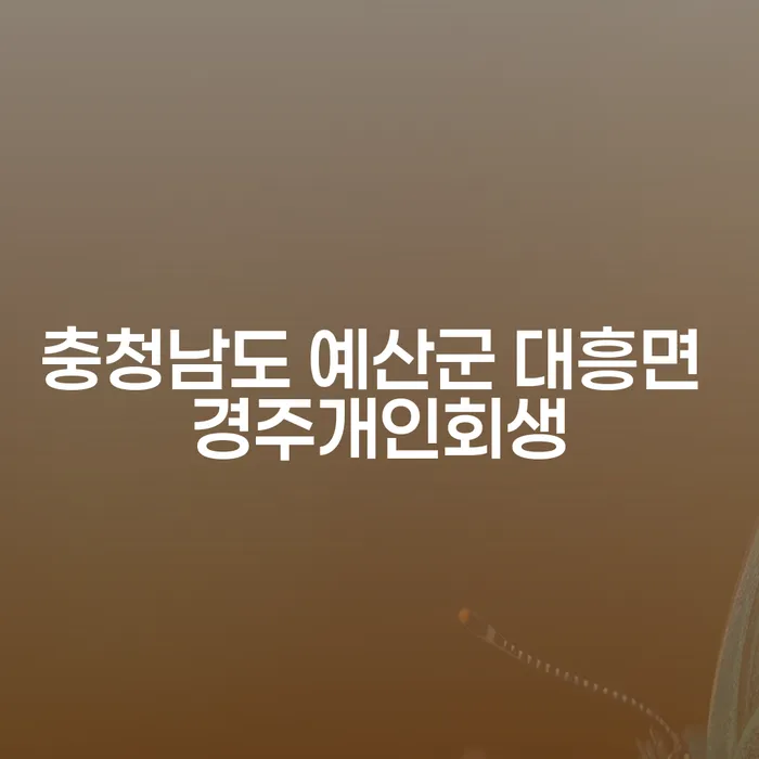 충청남도 예산군 대흥면 경주개인회생: 도박빚 3000만원 해결 방법은?