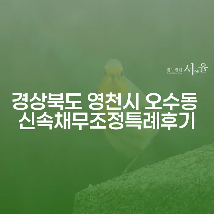 경상북도 영천시 오수동 신속채무조정특례 후기를 통해 본 개인회생과 파산의 길