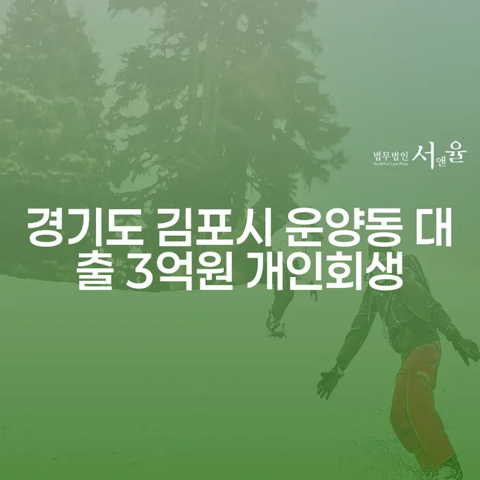경기도 김포시 운양동, 대출 3억원 개인회생이 답일까?