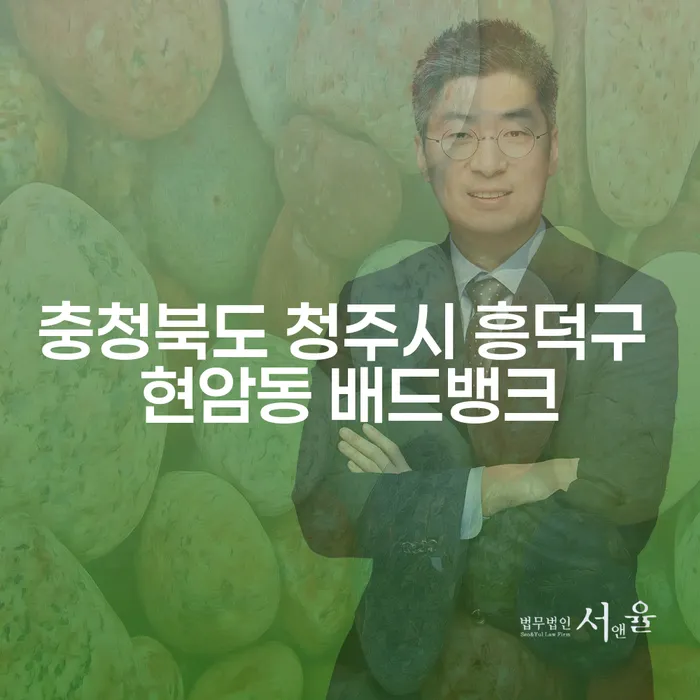 충청북도 청주시 흥덕구 현암동 배드뱅크에서 개인회생은 어떻게 할까요?
