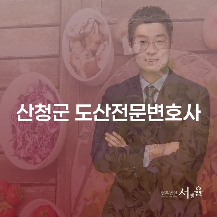 산청군 도산전문변호사와 함께 개인회생을 통한 경제적 회복 방법은?